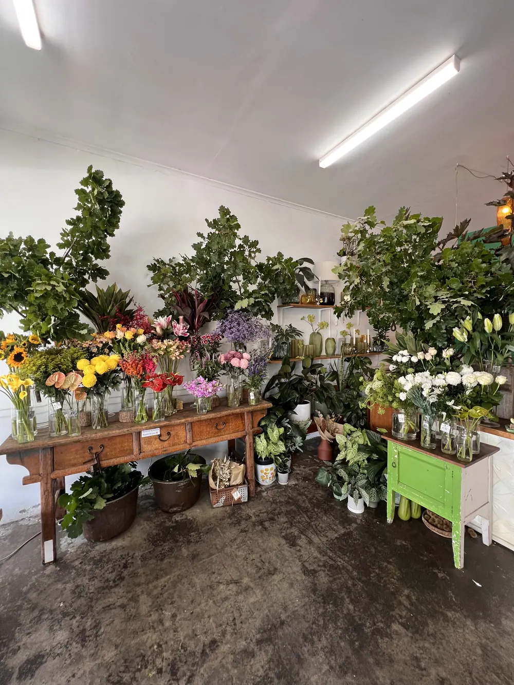 Inside the shop: a timber drawer table of flowers, potted trees and the green painted cabinet