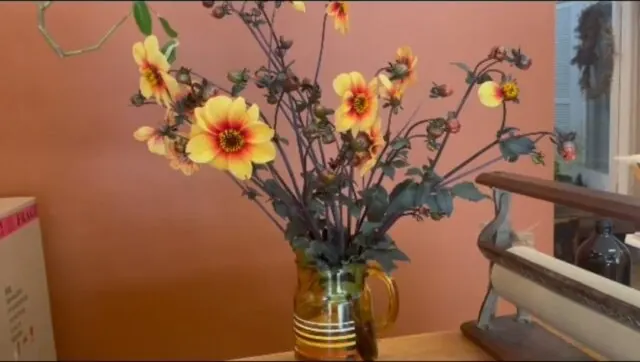 Sunflower-yellow dahlias in an amber glass jug in the shop